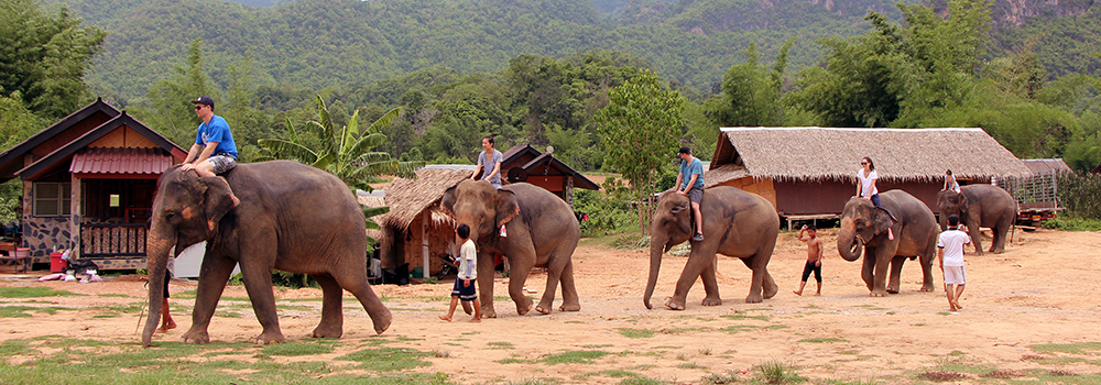 Several students riding elephants in a small village
